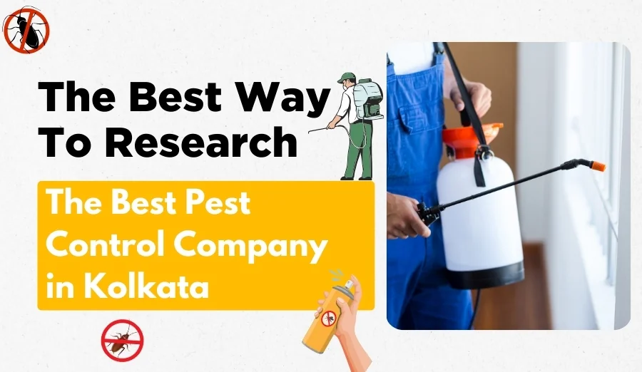 How to Research the Best Pest Control Company in Kolkata?