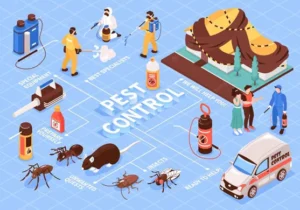 Best Pest Control Company In Kolkata , Affordable Pest Control Services in Kolkata , Top Rated Pest Control services in Kolkata , Professional Pest Control agency in Kolkata , Rodent Control Services Kolkata , Eco-friendly Pest Control services in Kolkata , Pest extermination services in Kolkata , Kolkata pest management services at home , Cockroach Control Services Kolkata , Industrial Pest control services in Kolkata , Best Bed Bug Exterminator Kolkata