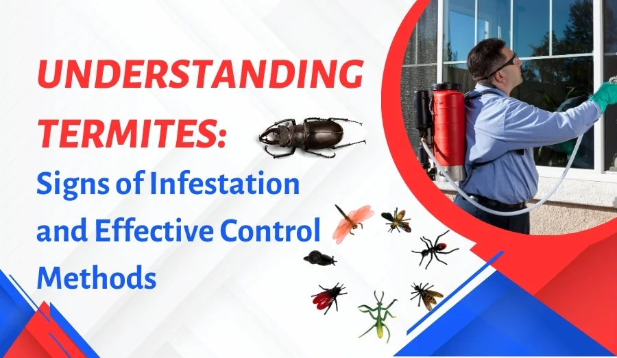 How to Identify Termite Infestation and Control It Effectively?