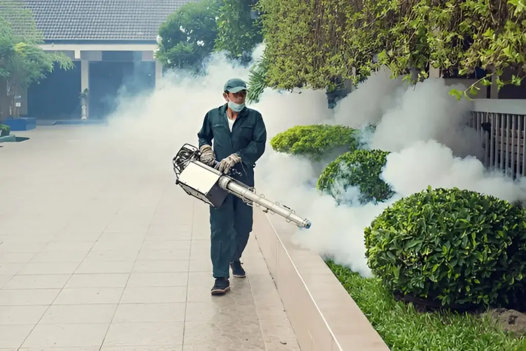 Best Pest Control Company In Kolkata , Affordable Pest Control Services in Kolkata , Top Rated Pest Control services in Kolkata , Professional Pest Control agency in Kolkata , Rodent Control Services Kolkata , Eco-friendly Pest Control services in Kolkata , Pest extermination services in Kolkata , Kolkata pest management services at home , Cockroach Control Services Kolkata , Industrial Pest control services in Kolkata , Best Bed Bug Exterminator Kolkata, Termite Treatment