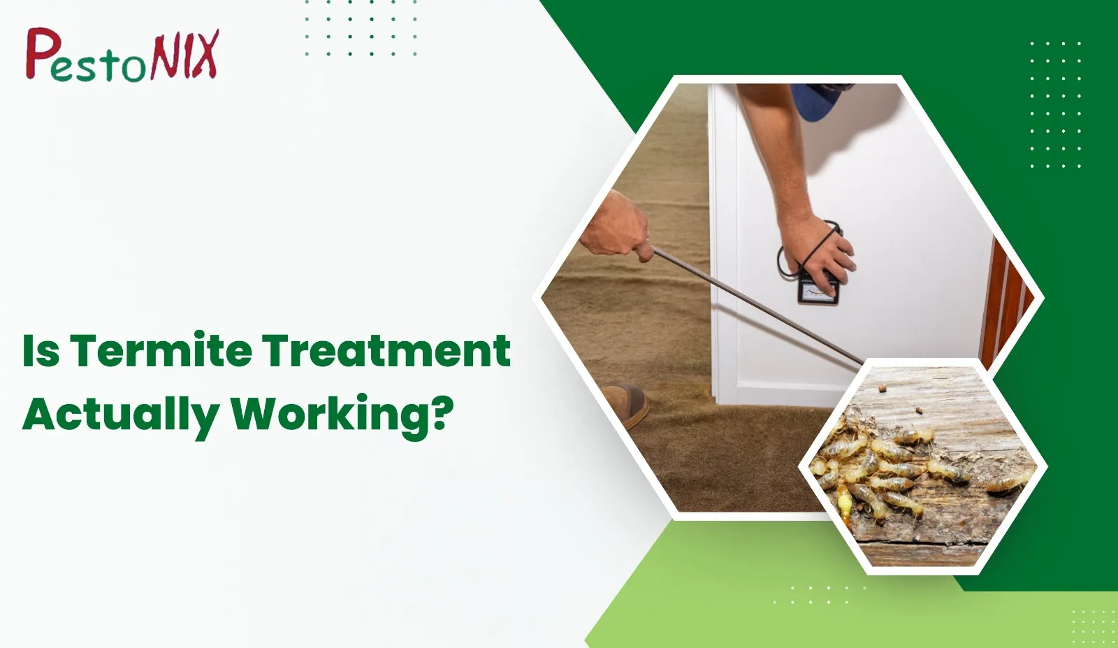 Termite Application How Do You Check If Termite Treatment Works?