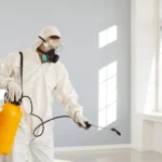 What to Do After Pest Control Treatment
