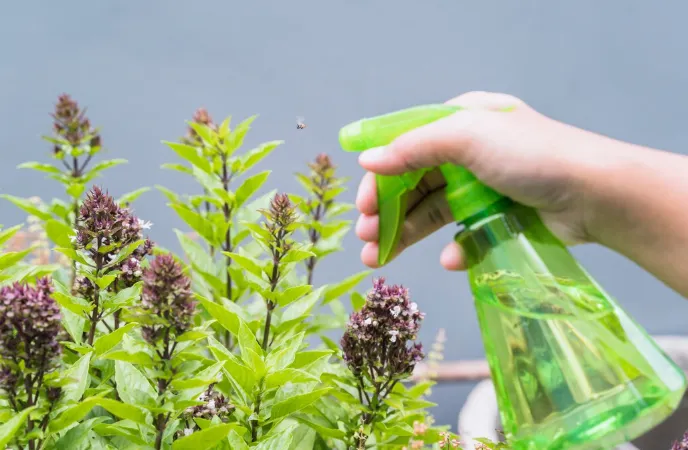 Best Pest Control Company In Kolkata , Affordable Pest Control Services in Kolkata , Top Rated Pest Control services in Kolkata , Professional Pest Control agency in Kolkata , Rodent Control Services Kolkata , Eco-friendly Pest Control services in Kolkata , Pest extermination services in Kolkata , Kolkata pest management services at home , Cockroach Control Services Kolkata , Industrial Pest control services in Kolkata , Best Bed Bug Exterminator Kolkata