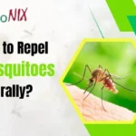 How to Repel Mosquitoes Naturally? A Complete Guide by Pestonix