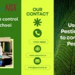 Professional Termite Control Service in Kolkata: Safeguarding School Infrastructure