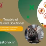 Rats Causing Trouble at Home? Facts  and Solutions!