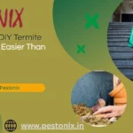 Reasons DIY Termite Control Is Easier Than You Think