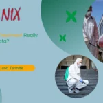 Is Your Termite Treatment Really Working in Kolkata?