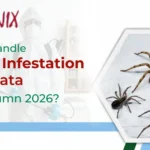 How to Handle Spider Infestation in Kolkata This Autumn 2026?