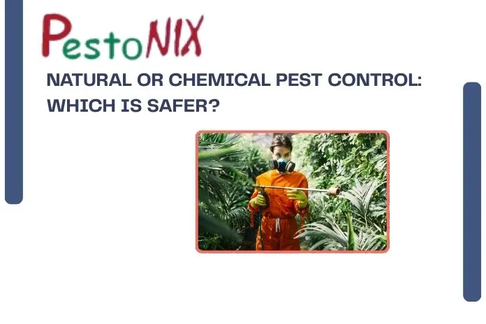 Natural or Chemical Pest Control: Which Is Safer?