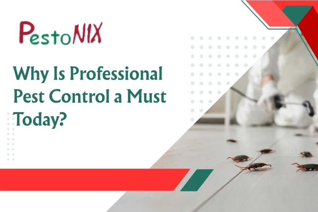 Why Is Professional Pest Control a Must Today?