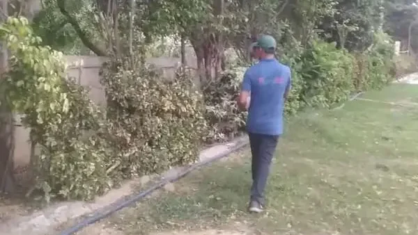  Best Pest control Company In Kolkata, Termite Behavior and Habitats
