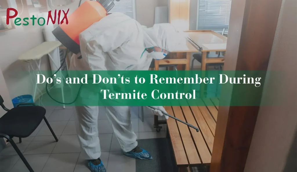 Do’s and Don’ts to Remember During Termite Control